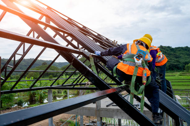 Best Roof Gutter Cleaning  in Union, NJ