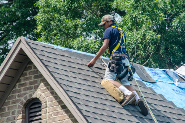 Best Roof Waterproofing Services  in Union, NJ